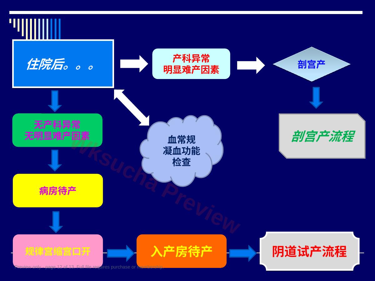 预览第 12 页