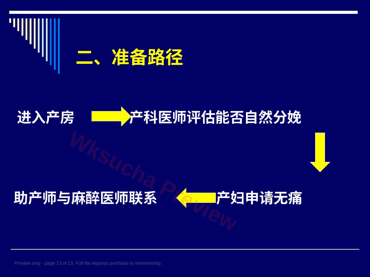 预览第 13 页