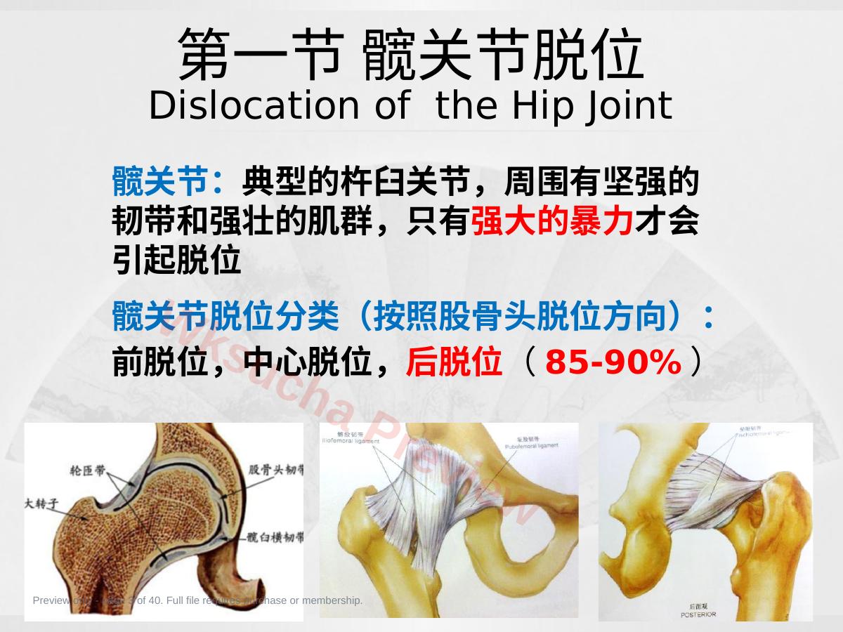预览第 3 页