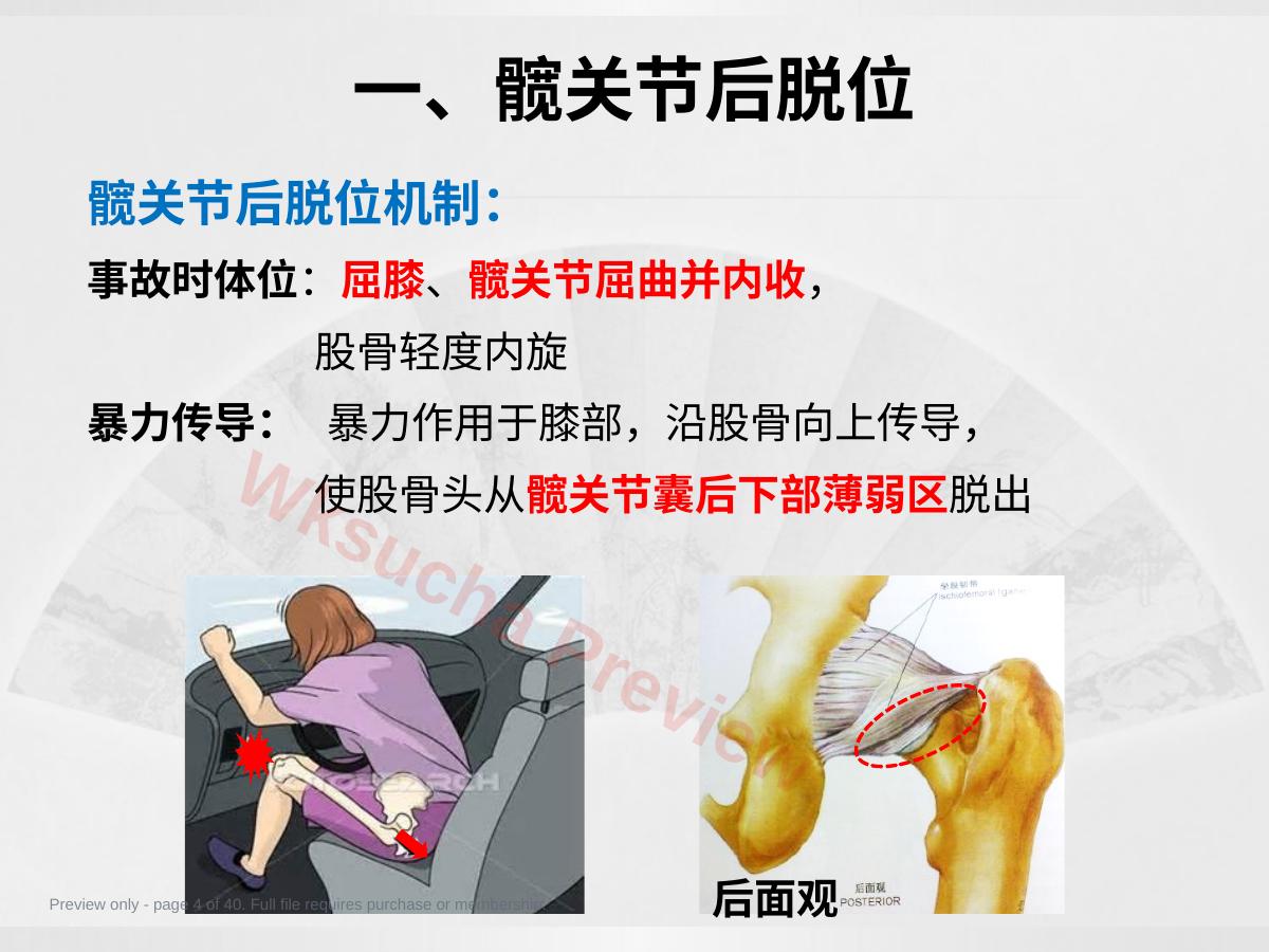 预览第 4 页