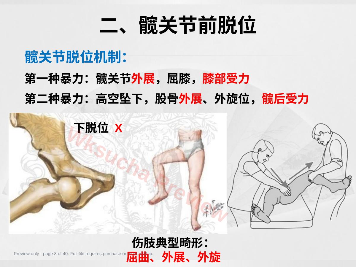 预览第 8 页