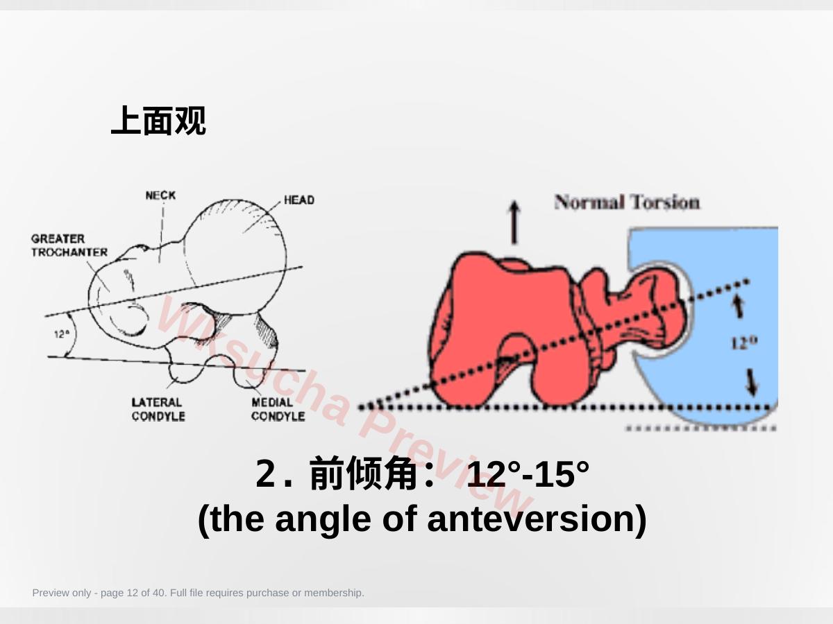 预览第 12 页