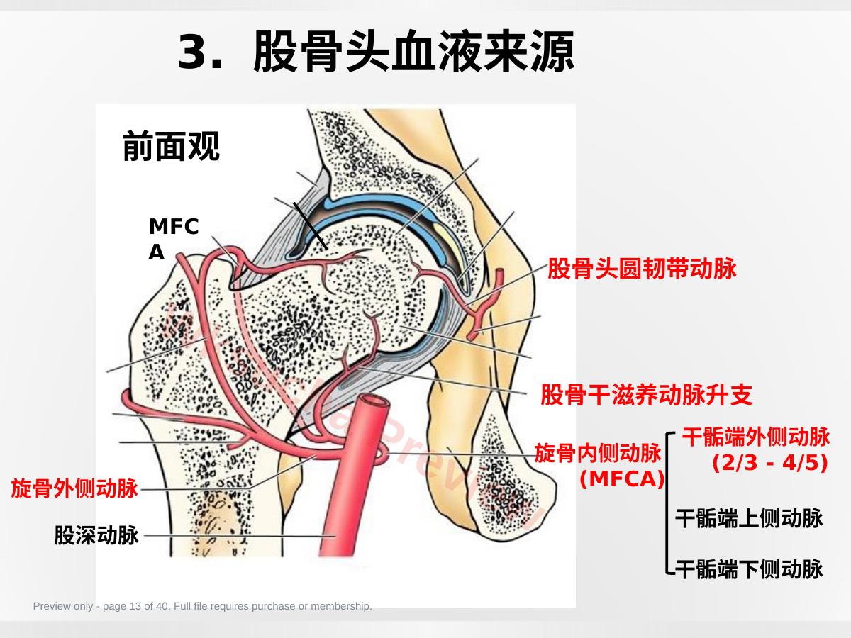 预览第 13 页