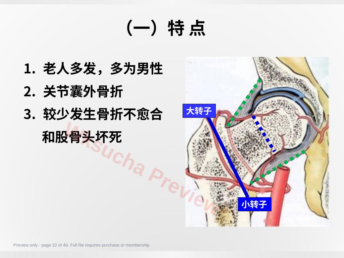 预览第 22 页