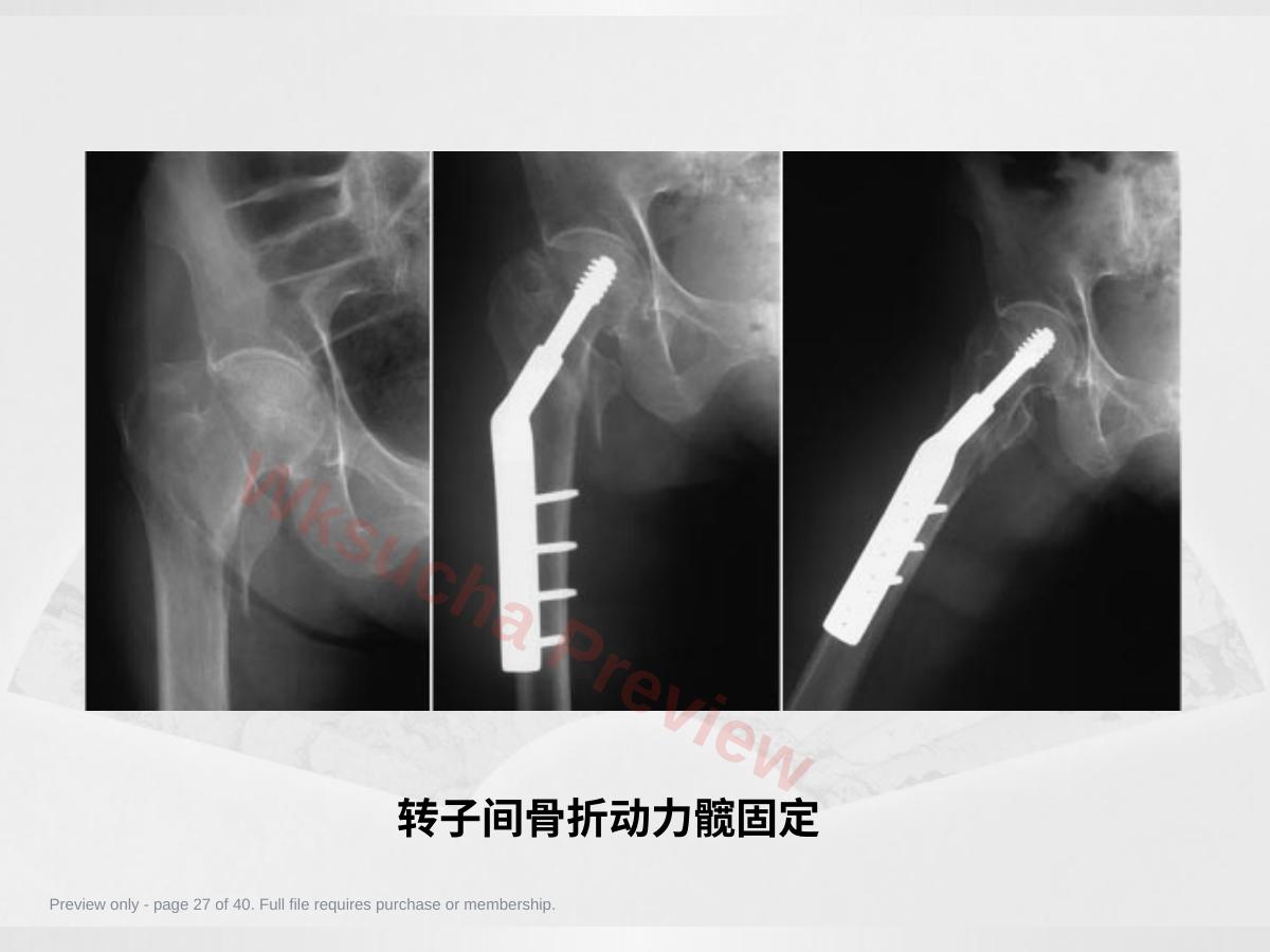 预览第 27 页
