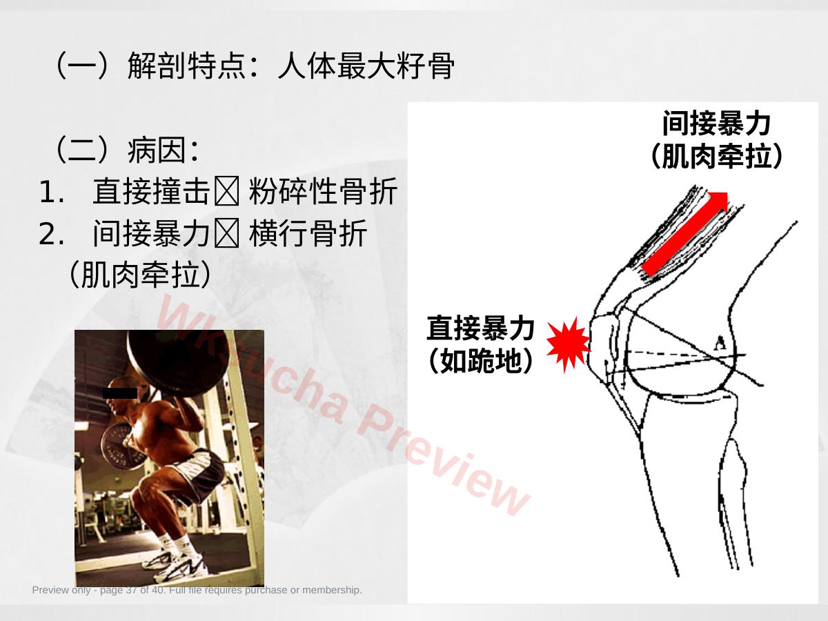 预览第 37 页