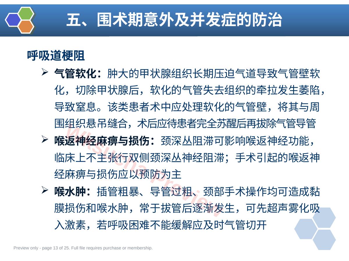 预览第 13 页