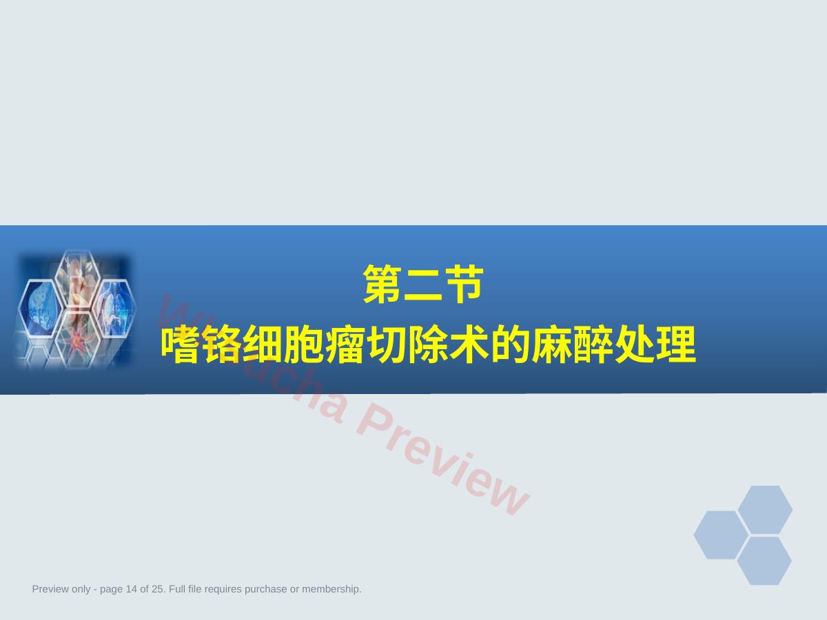 预览第 14 页