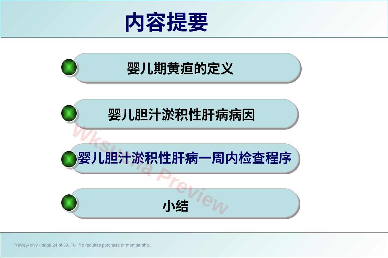 预览第 24 页