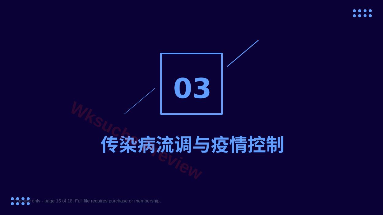 预览第 16 页