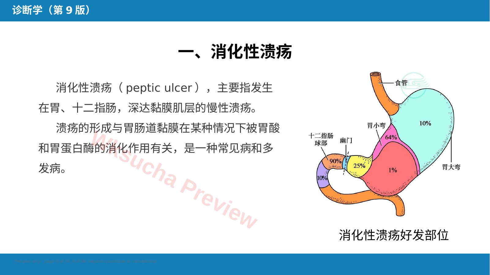 预览第 5 页