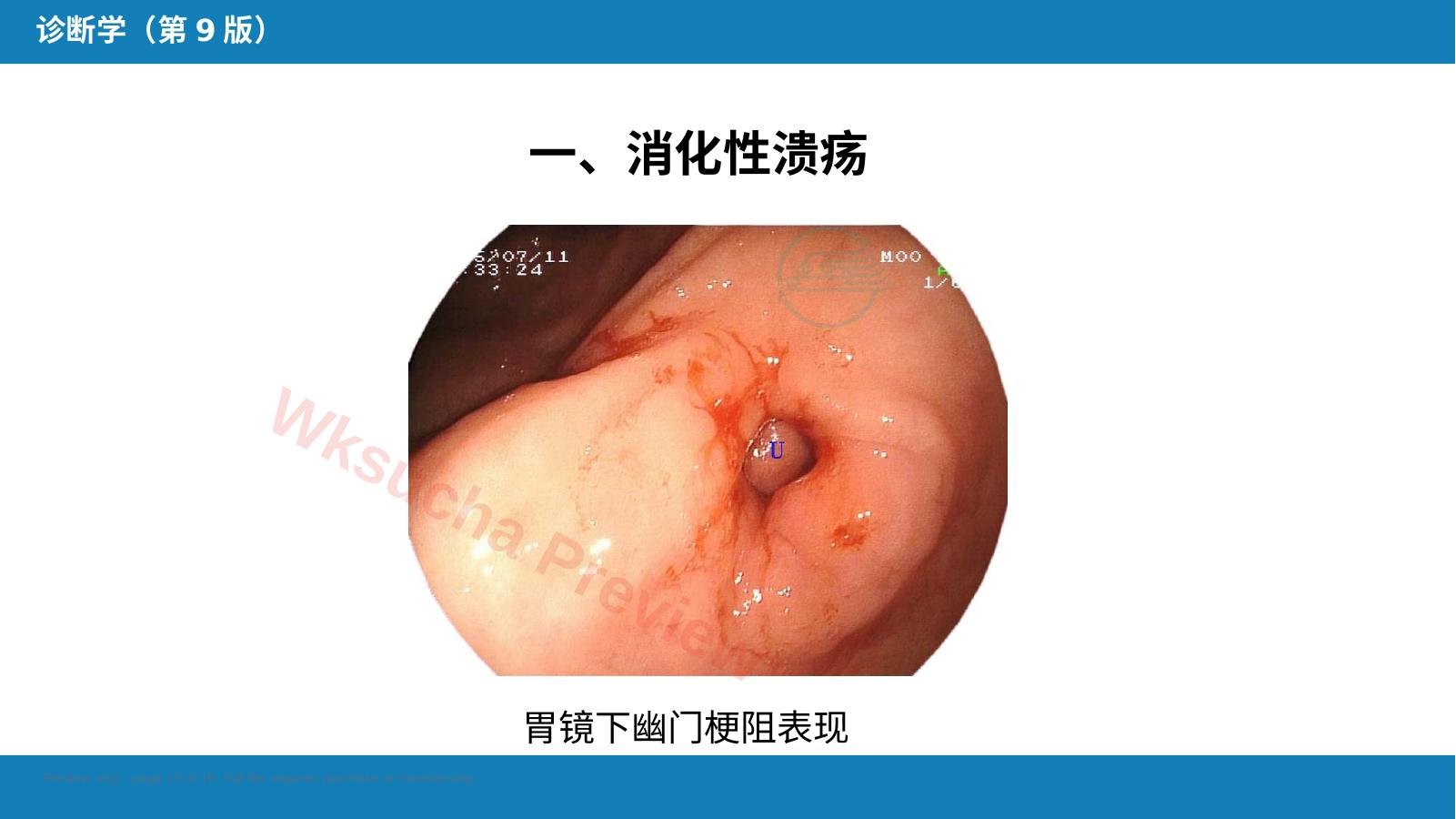 预览第 13 页