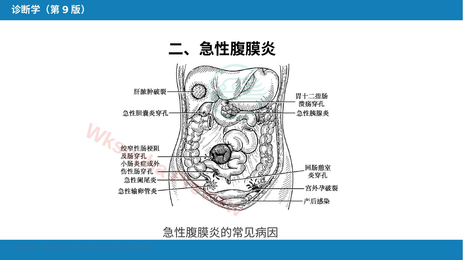 预览第 16 页