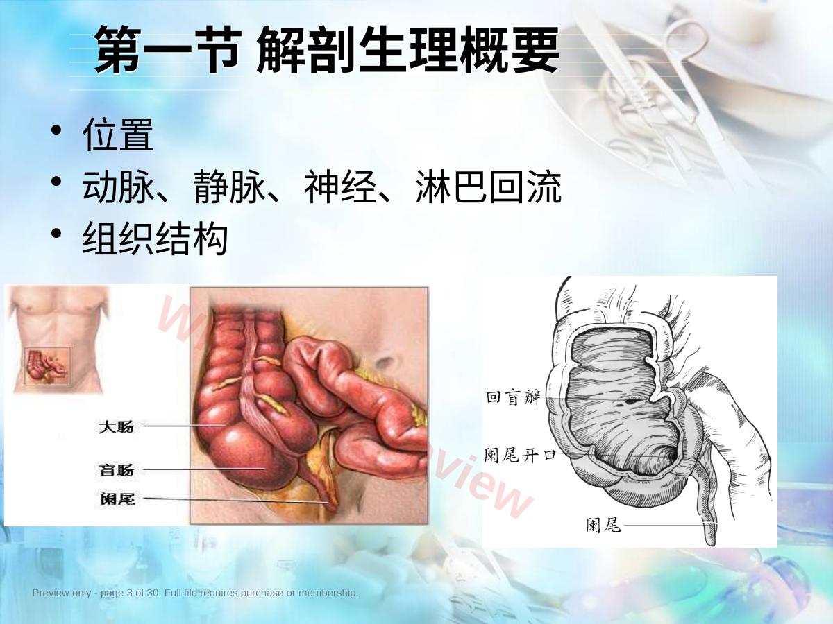 预览第 3 页