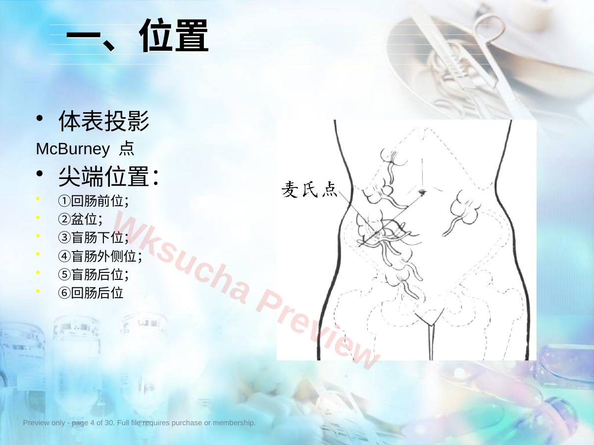预览第 4 页
