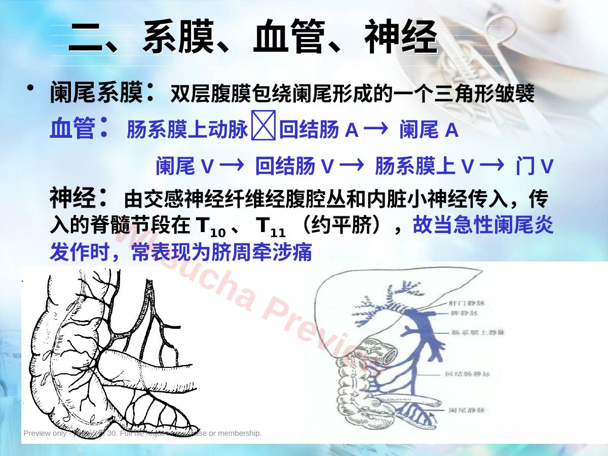 预览第 5 页