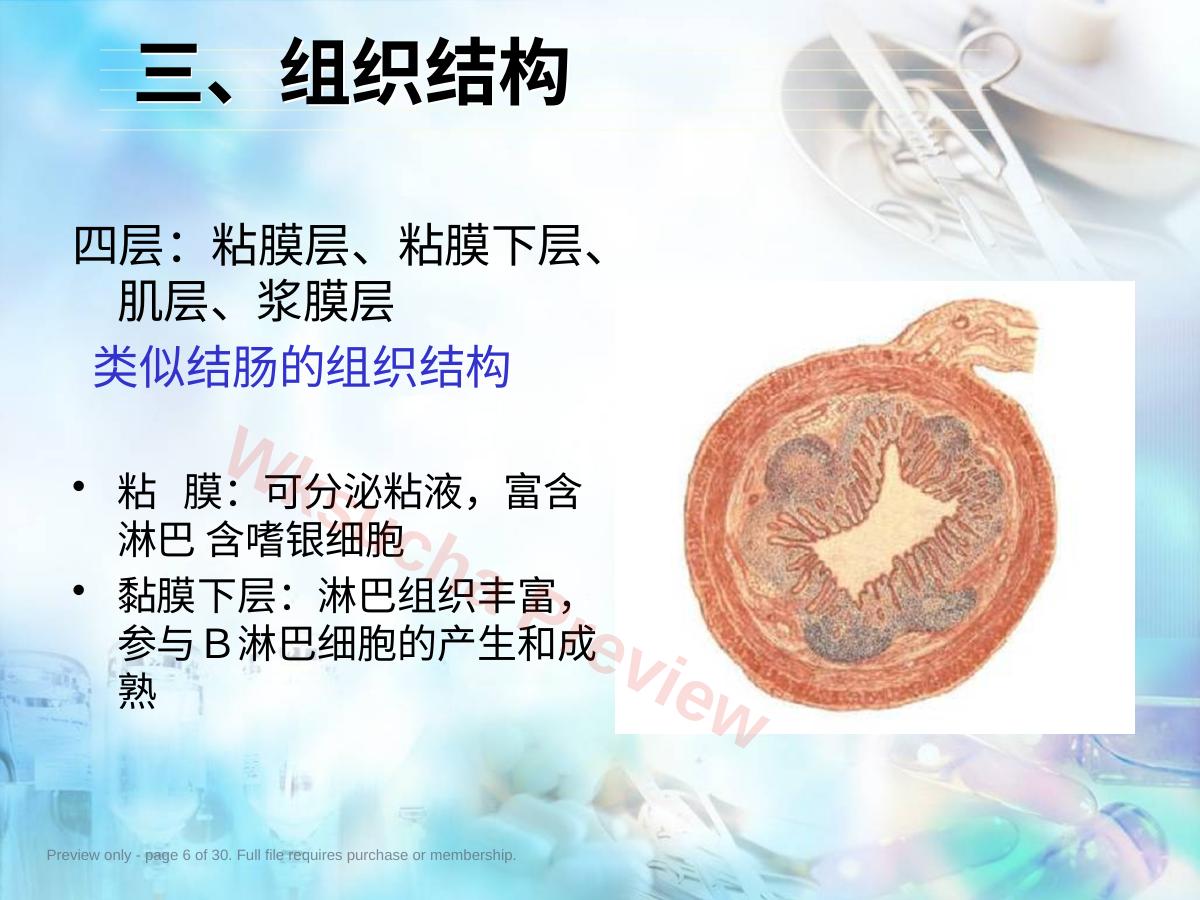 预览第 6 页