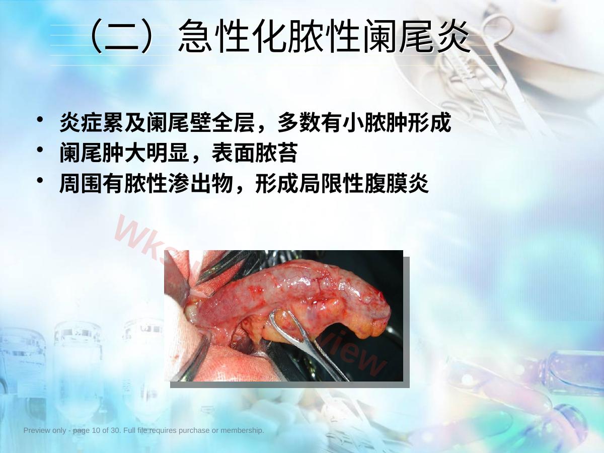 预览第 10 页