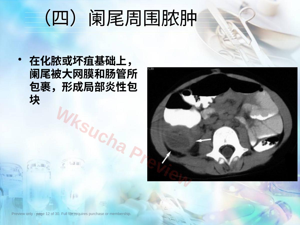 预览第 12 页