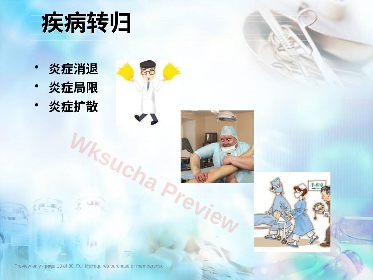 预览第 13 页