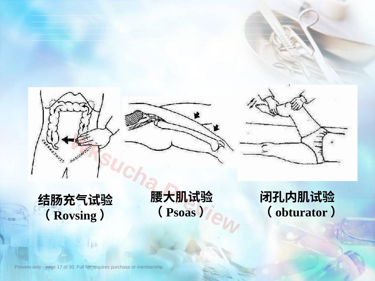 预览第 17 页