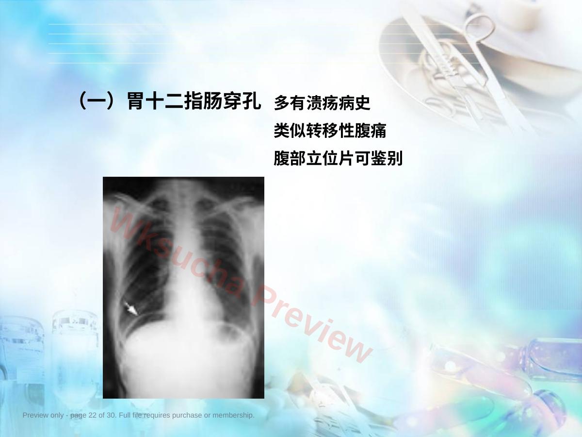 预览第 22 页