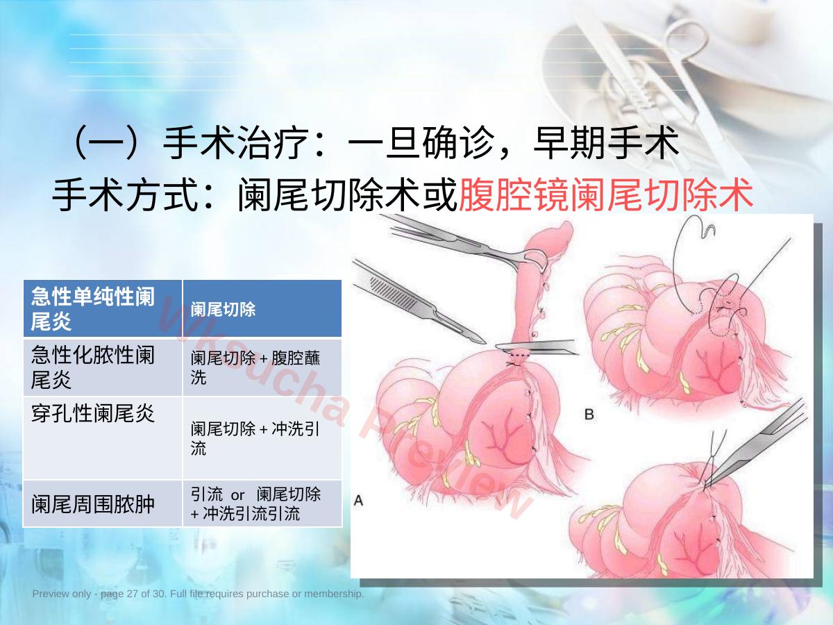 预览第 27 页