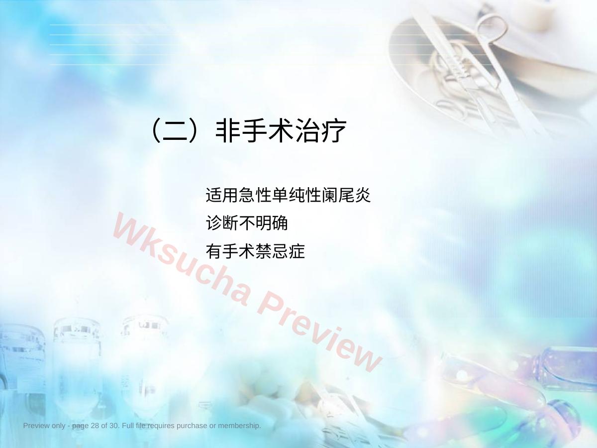 预览第 28 页