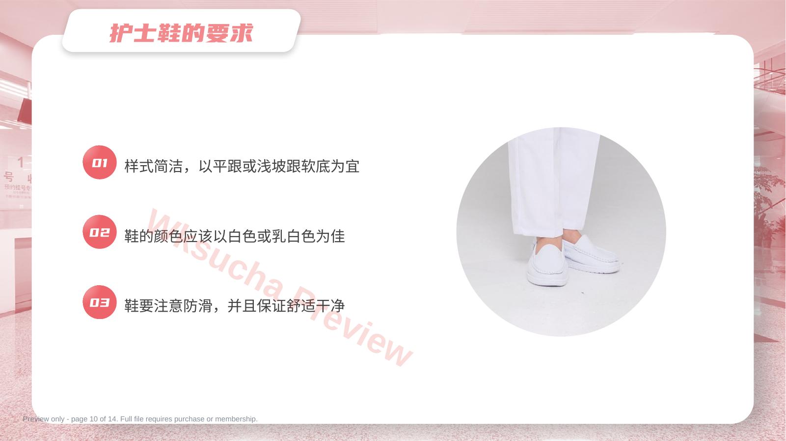 预览第 10 页