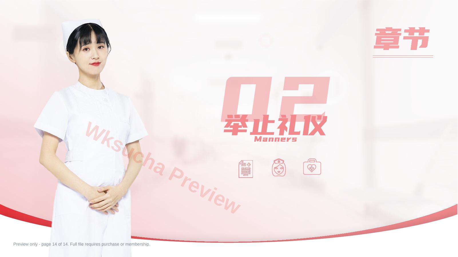 预览第 14 页
