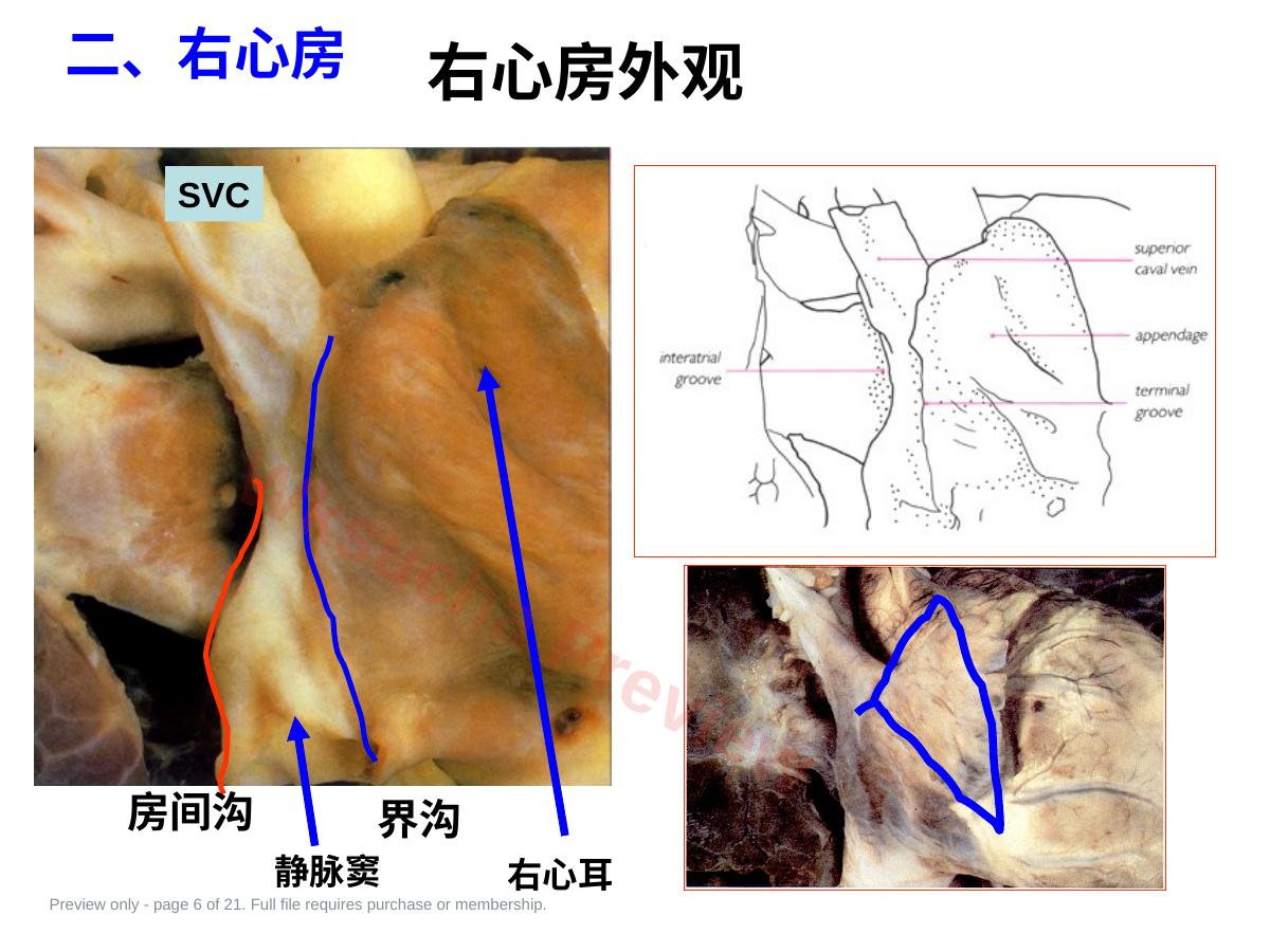 预览第 6 页