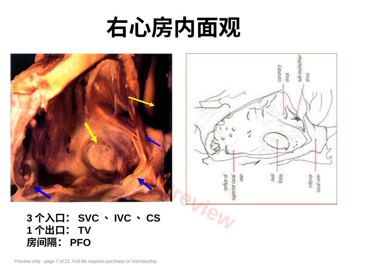预览第 7 页