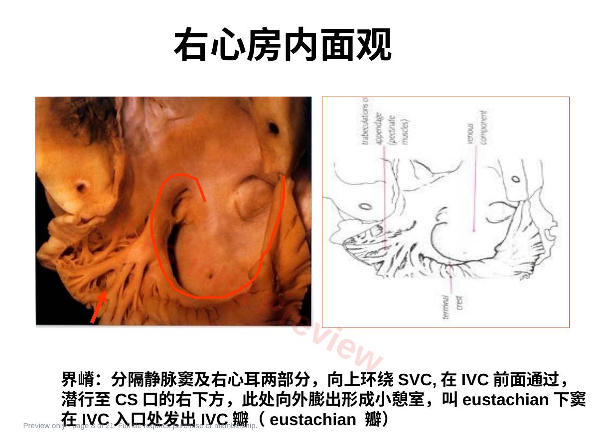 预览第 8 页