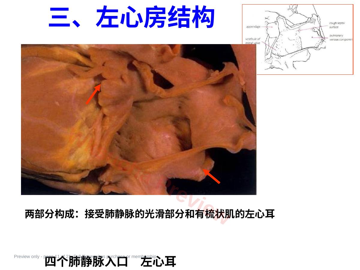 预览第 11 页