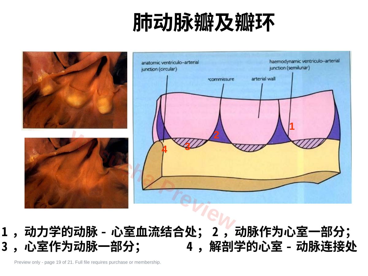 预览第 19 页