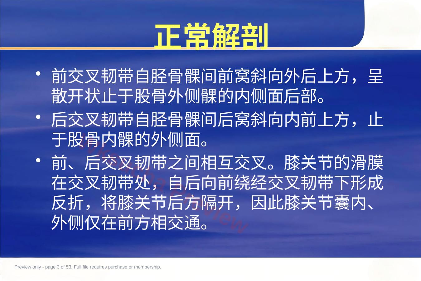 预览第 3 页