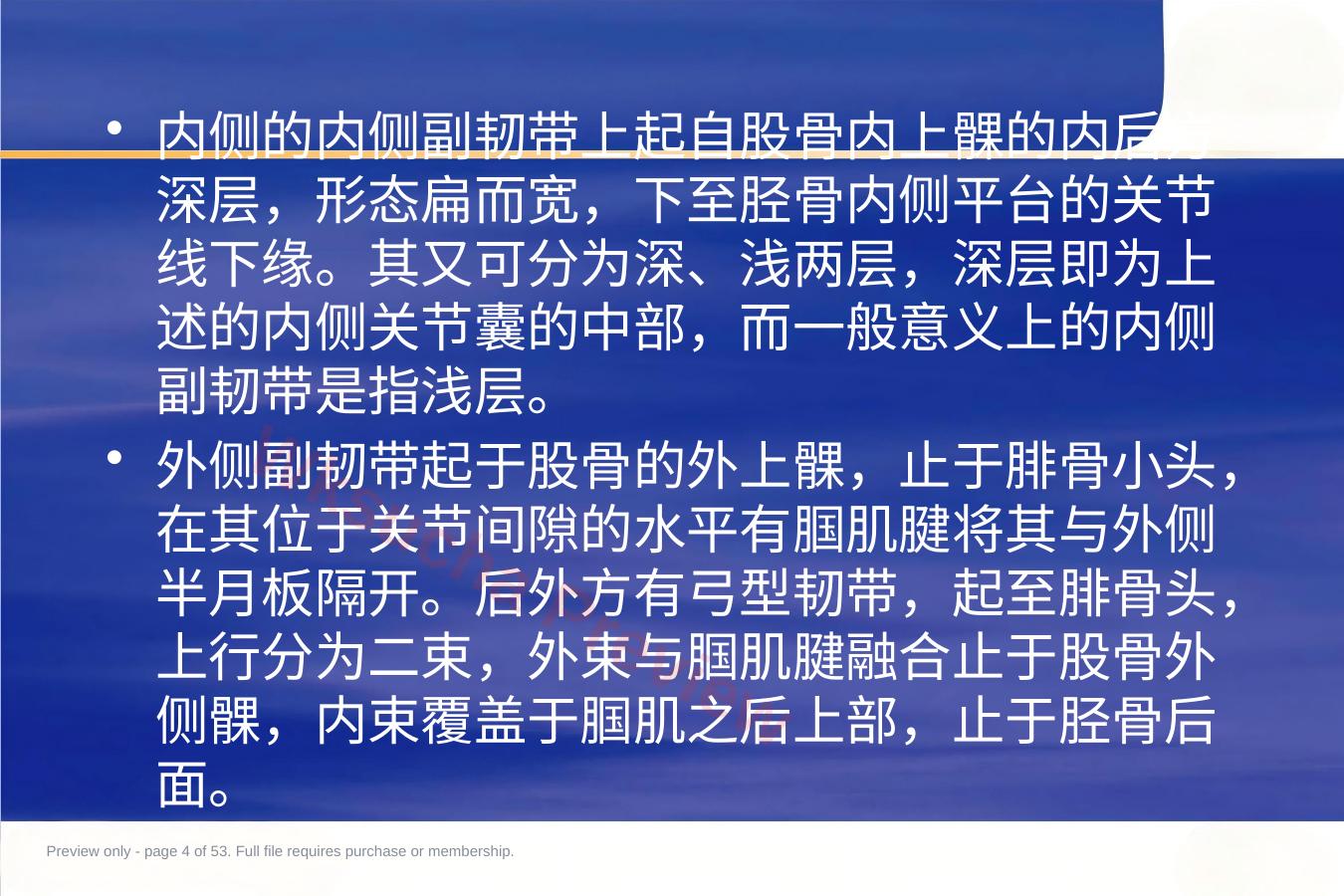 预览第 4 页