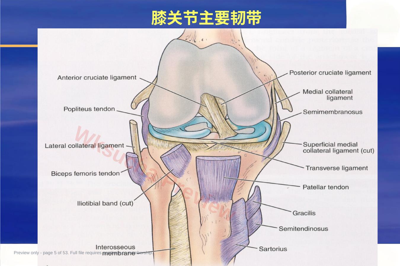 预览第 5 页