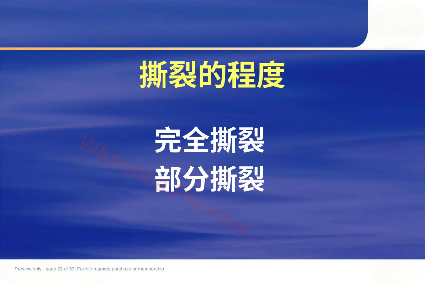 预览第 23 页