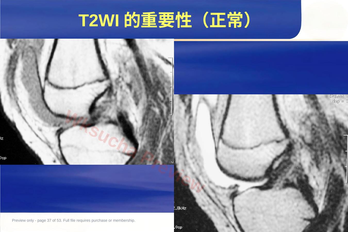 预览第 37 页