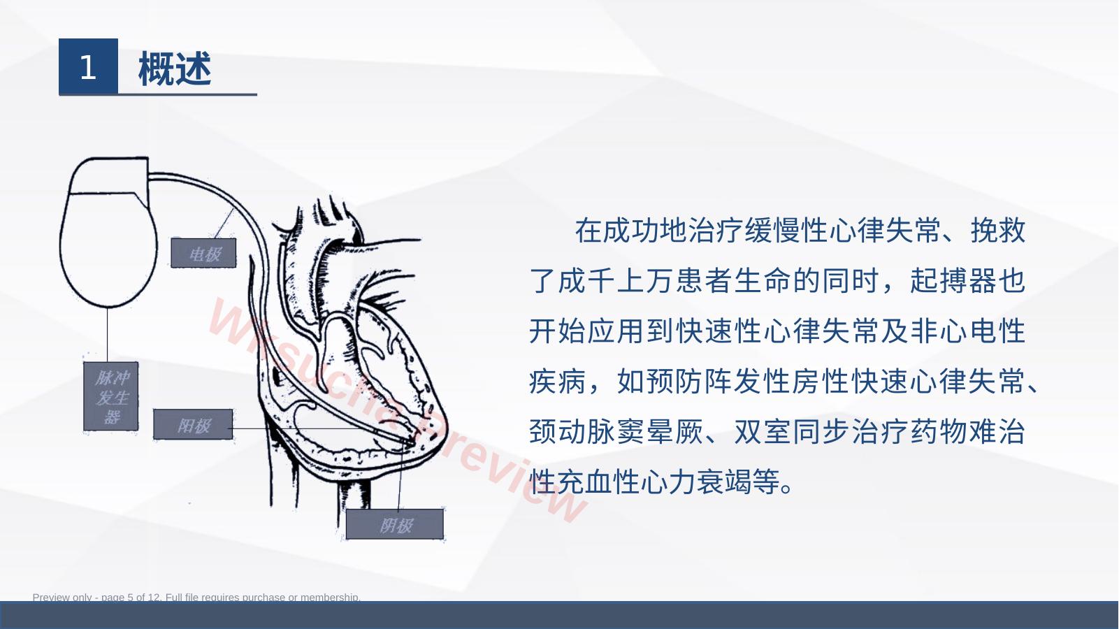 预览第 5 页