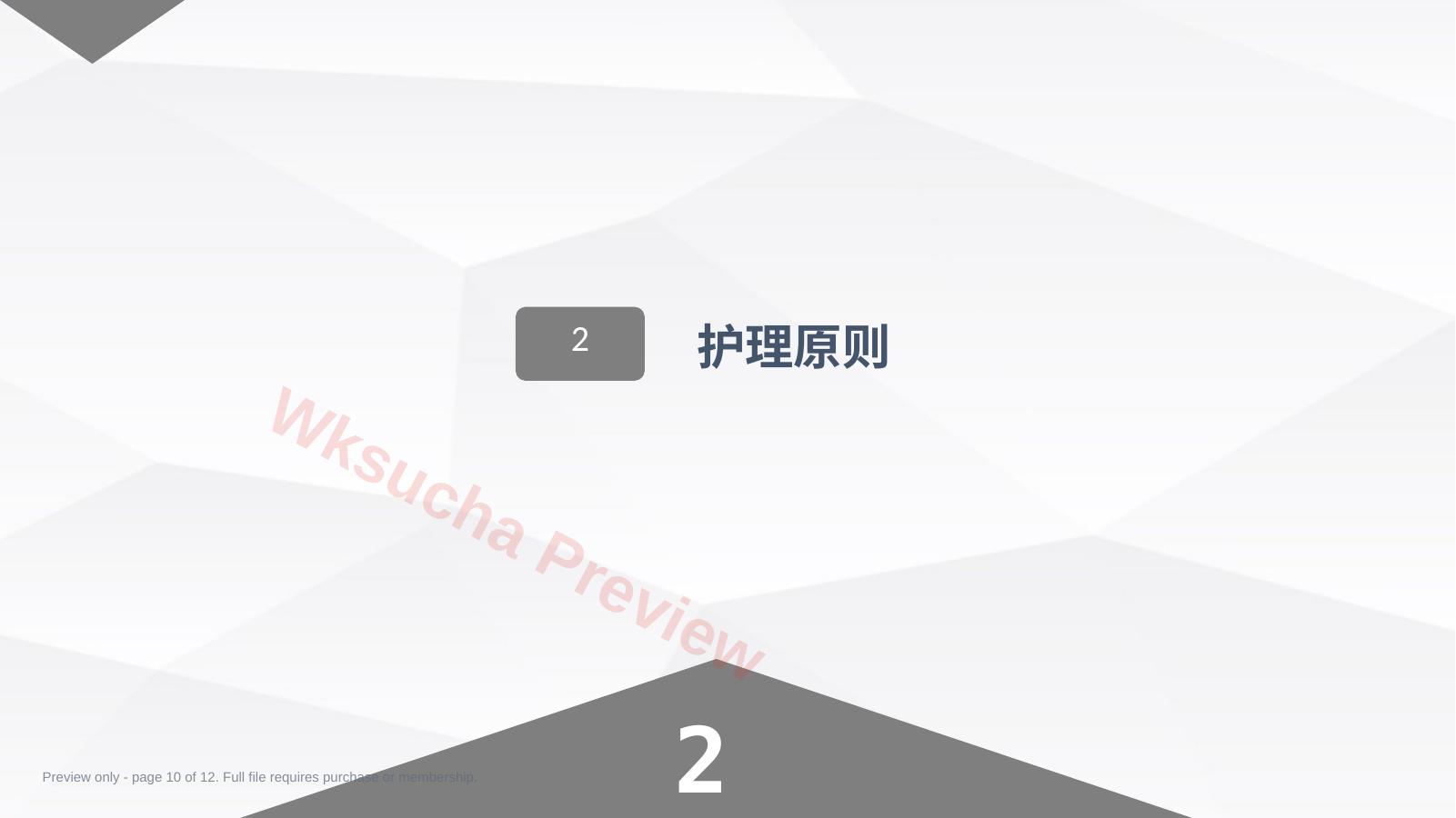预览第 10 页