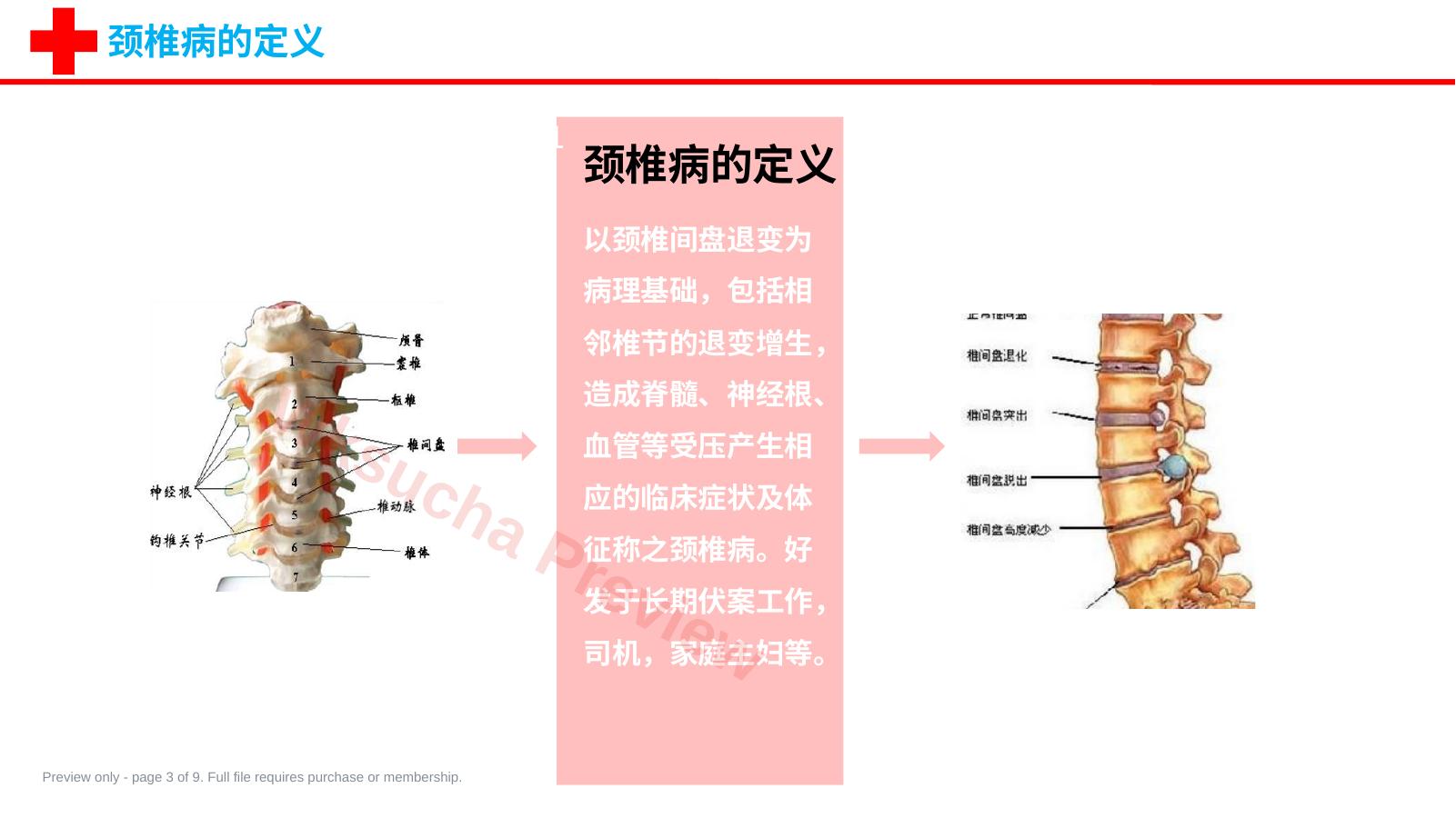 预览第 3 页