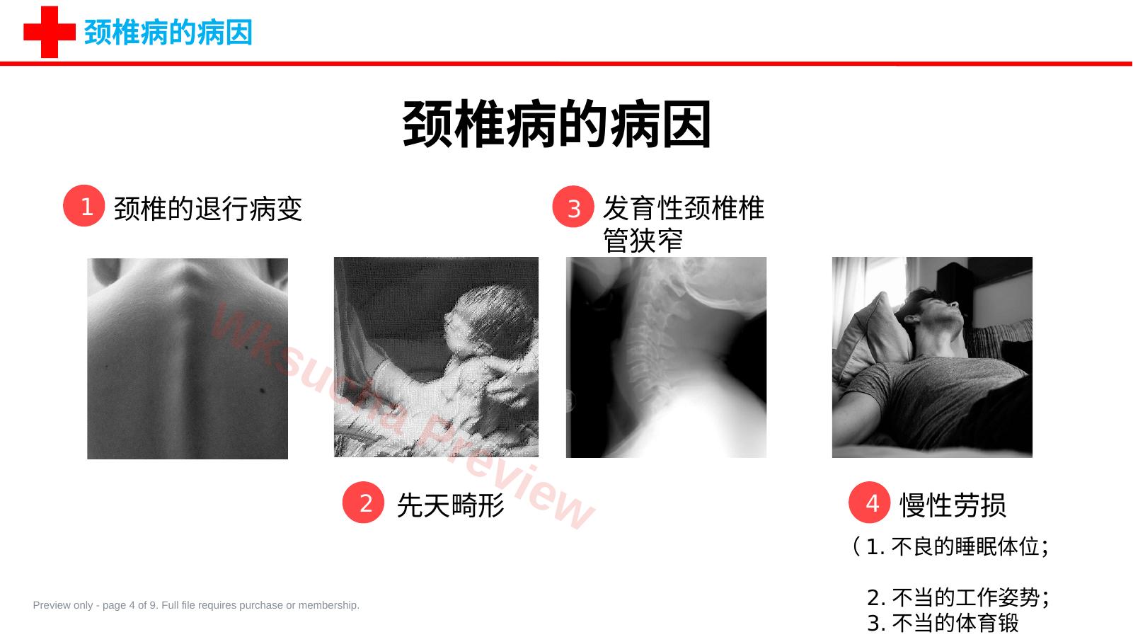 预览第 4 页