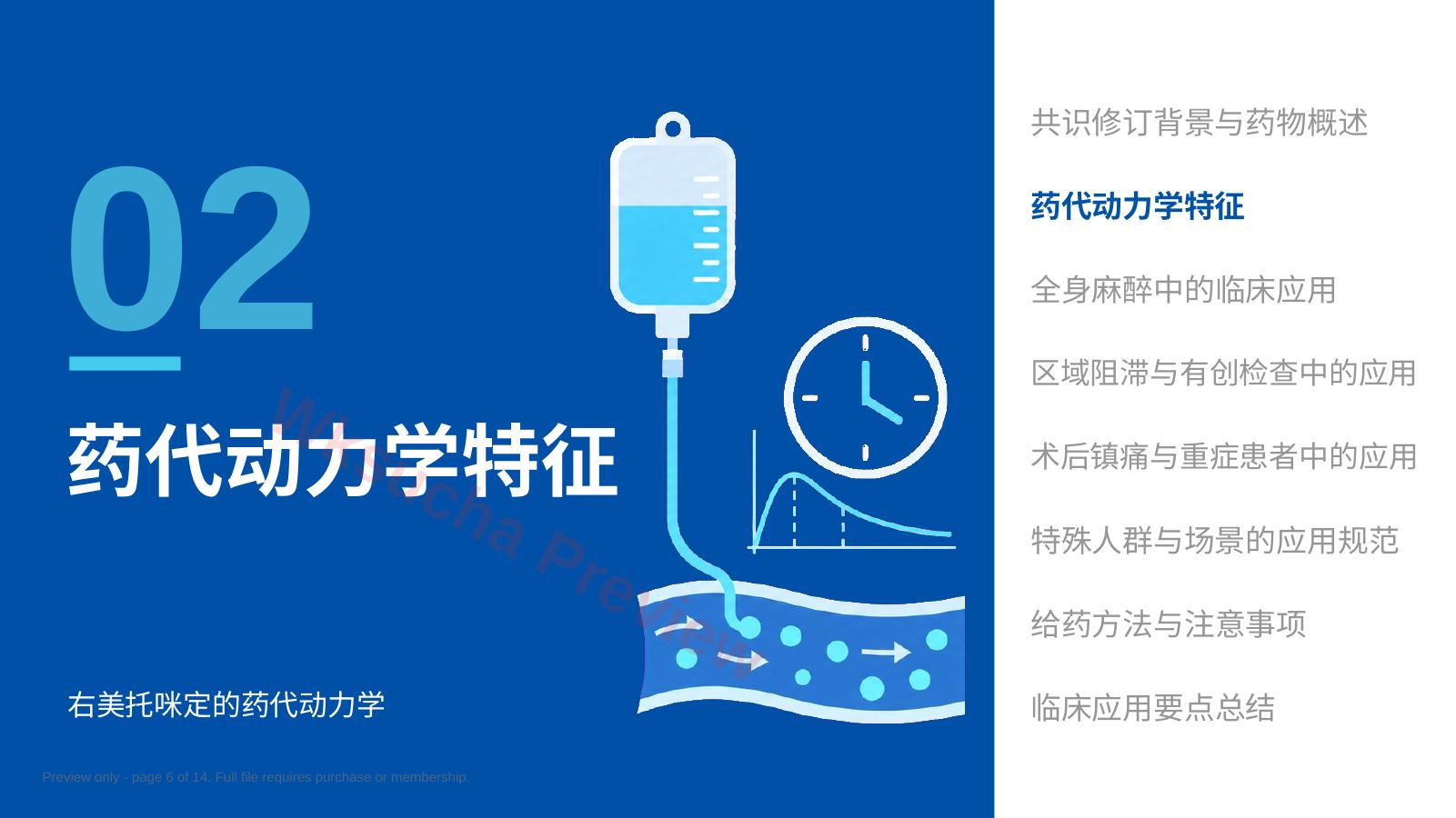 预览第 6 页