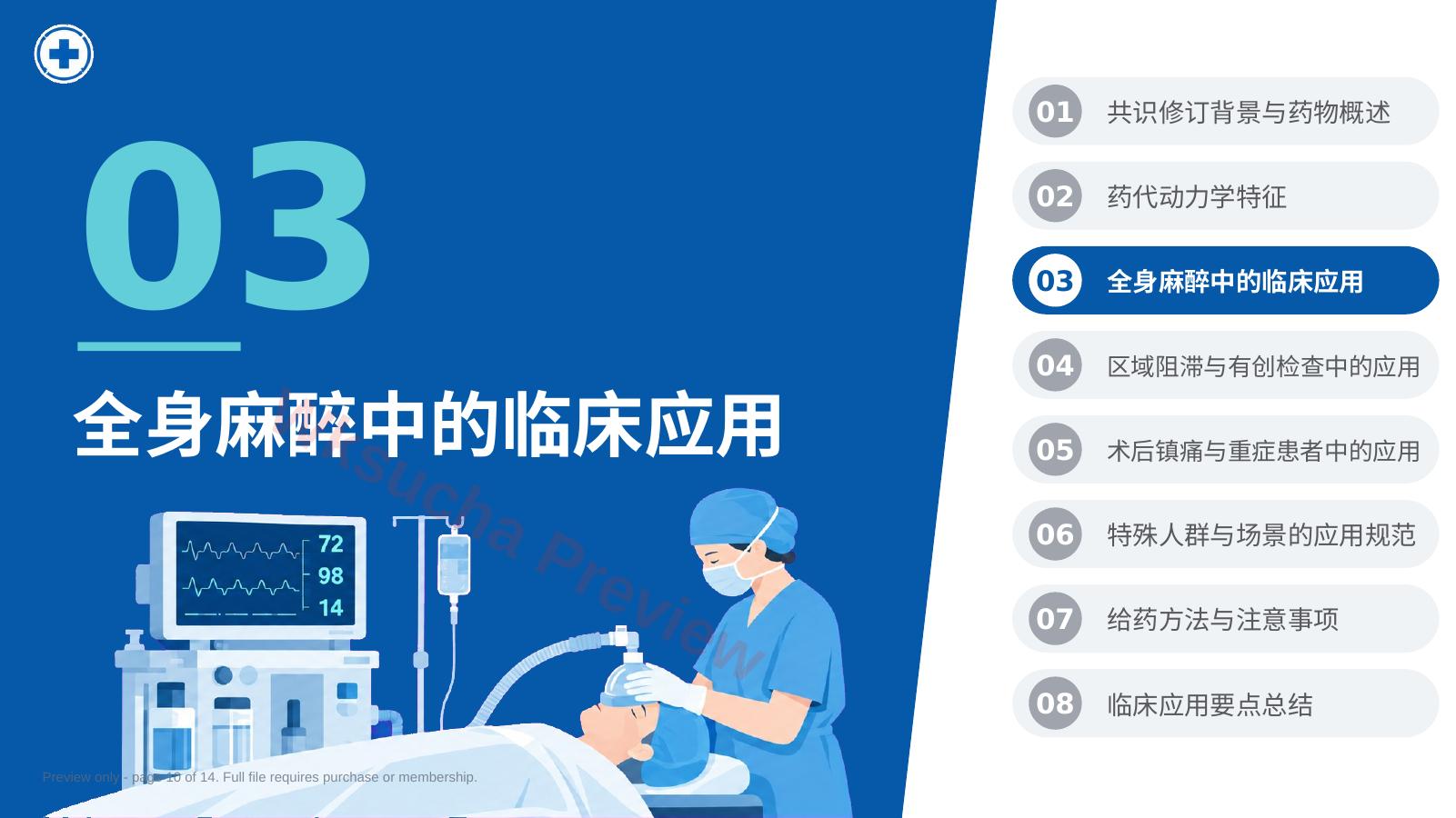 预览第 10 页