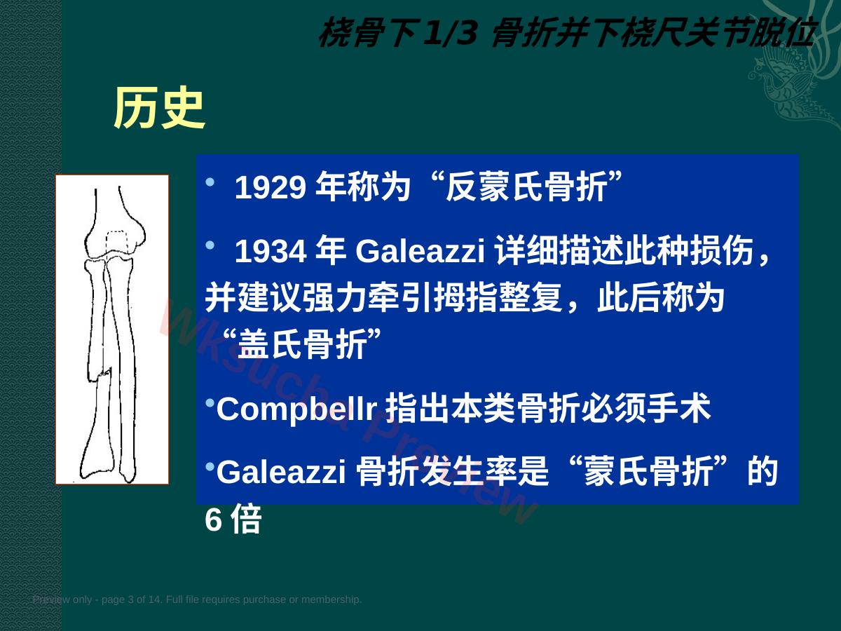 预览第 3 页