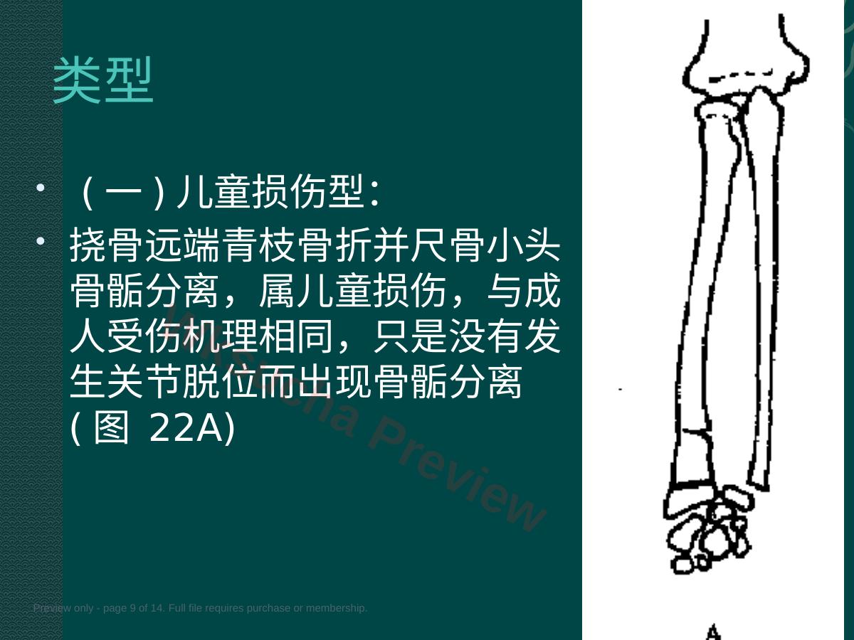 预览第 9 页