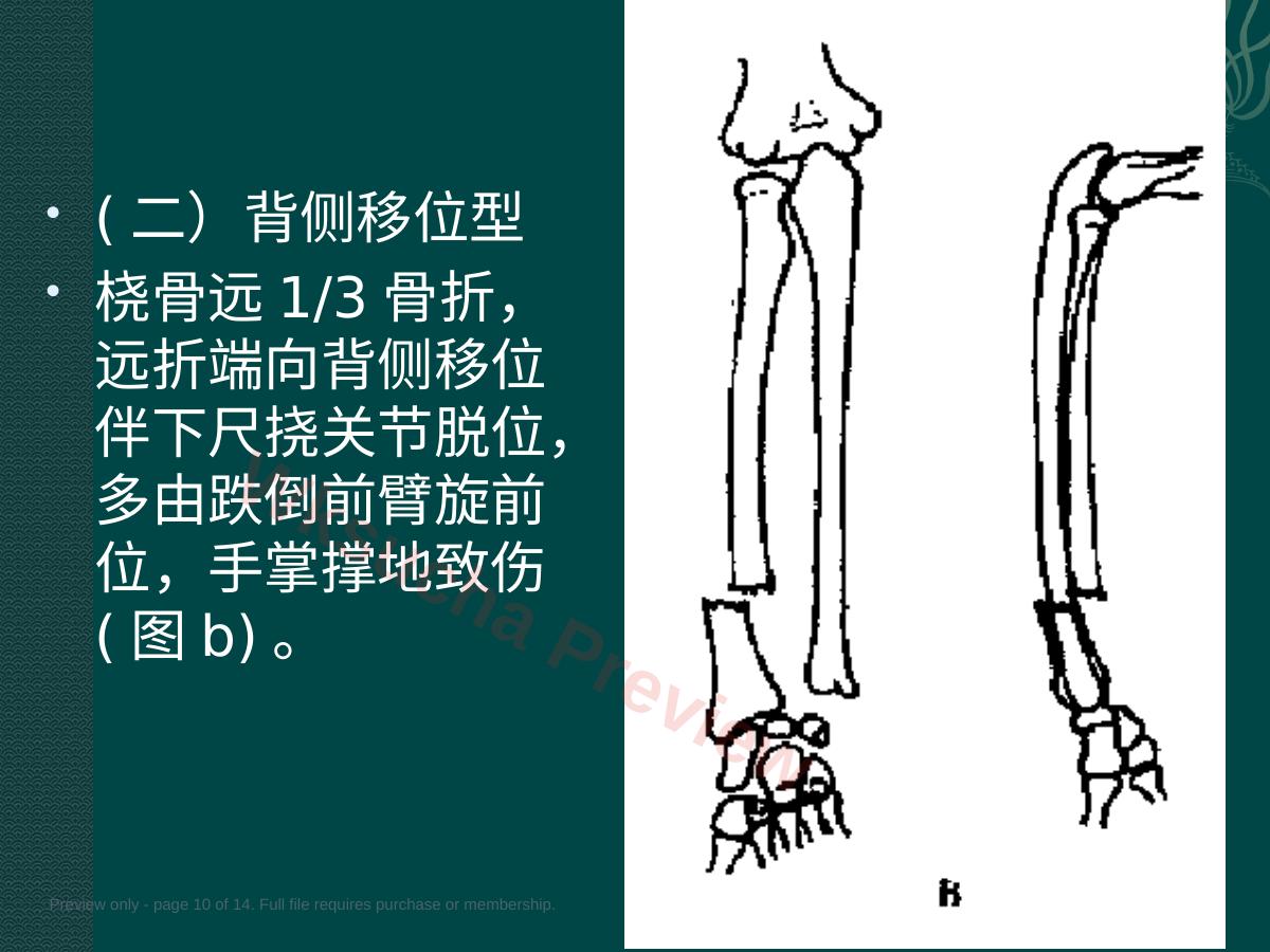 预览第 10 页