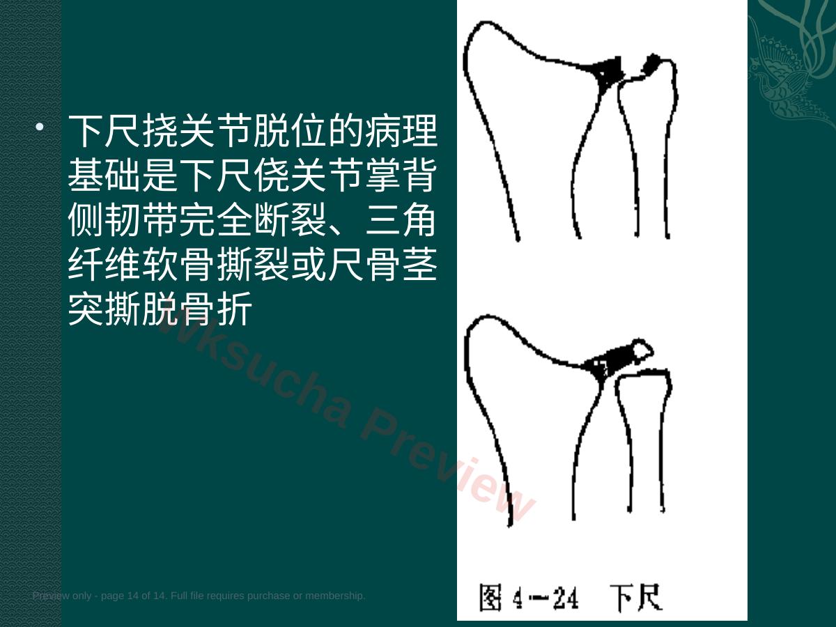 预览第 14 页